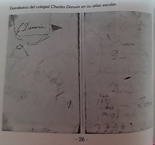 Estudios de medicina