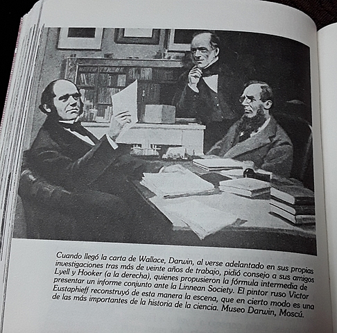 Recibe una carta de Alfred Russel Wallace