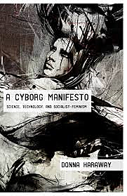 Continuation of a Cyborg Manifesto