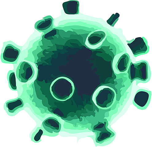 1º caso de COVID-19 España