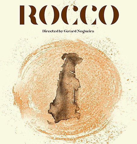 Creación de la Ley Rocco