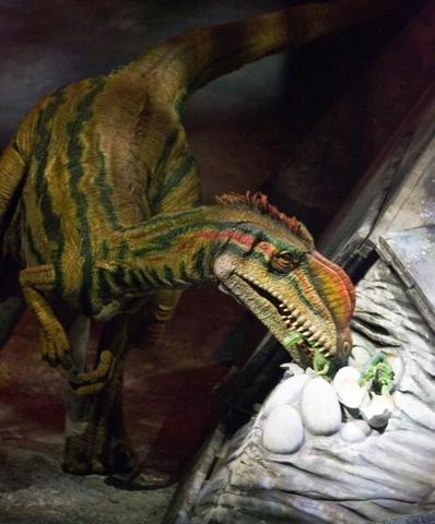 Going ot see walking with dinosaurs