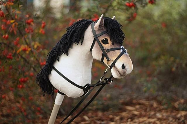 Ms. Vilhunen’s documentary film, “Hobbyhorse Revolution,” releases.