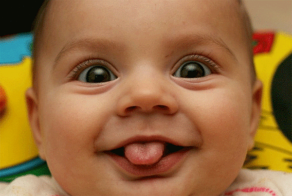 Antes del Primer Año