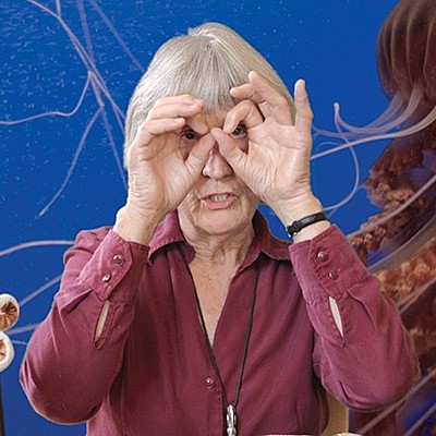 Timeline: Donna Haraway