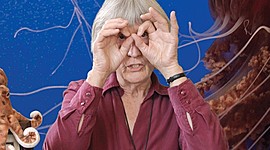 Timeline: Donna Haraway