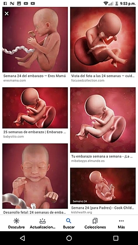 Comunicación del bebé