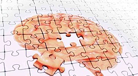 Timeline: Historia de la psicometría