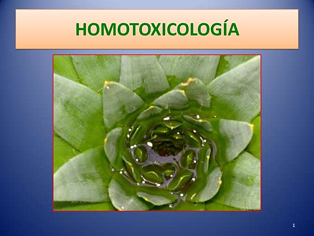 Homotoxicologia