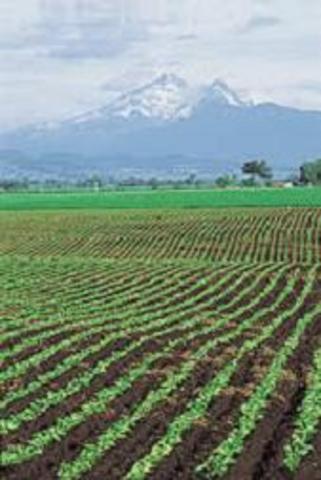 Llei de la reforma agrària