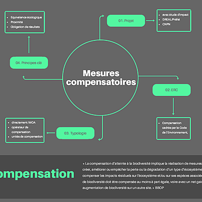 Timeline: Compensation