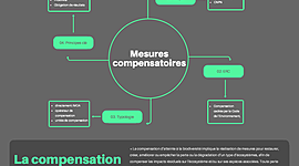 Timeline: Compensation