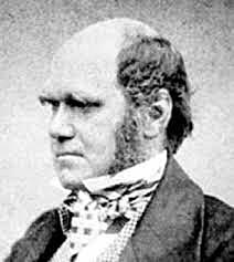 CHARLES DARWIN DE ADULTO