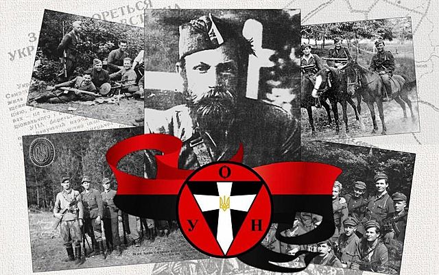 Утворення в околиці «Олевської республіки»