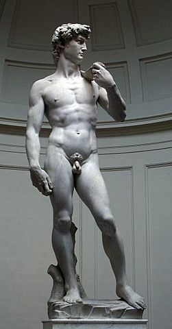 DAVID DE MIGUEN ANGEL BUONARROTTI