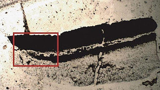 Signos de vida mas antiguos de la historia.