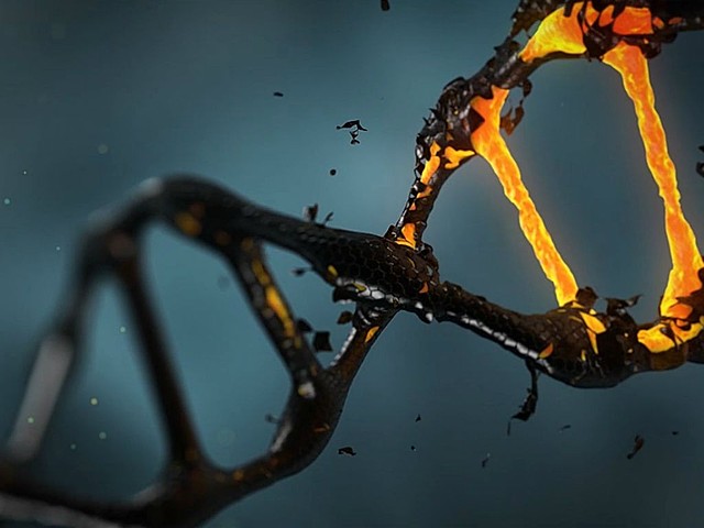 La primera edición de un embrión humano.