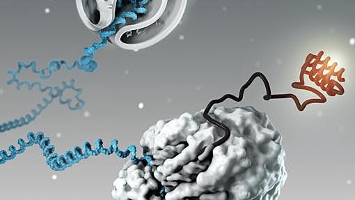 Silenciar genes para curar.