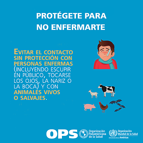 Centralización de la información de los laboratorios públicos y privados, con el objetivo de contar con la de todos los casos a estudio y positivos en el país.