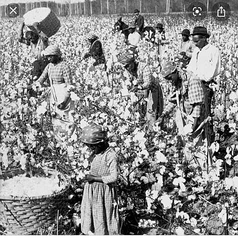 Responses to slavery