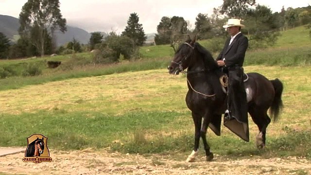 MENSAJEROS A CABALLO