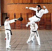 Precursores del Taekwondo