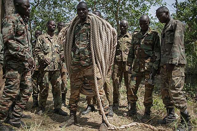 Segunda guerra civil centroafricana