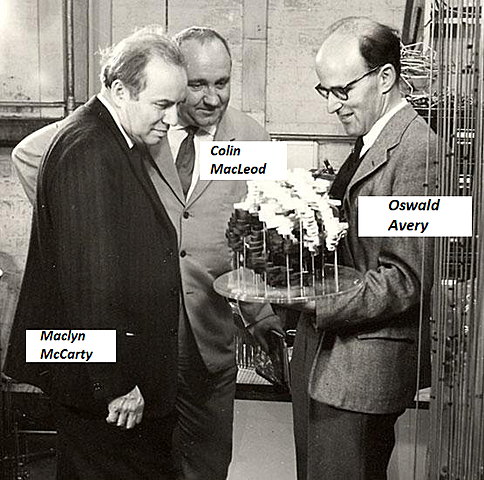 Agente de transmutación