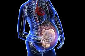 Az újszülött készségei