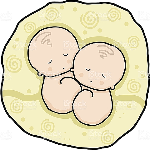 Ikrek kommunikációja