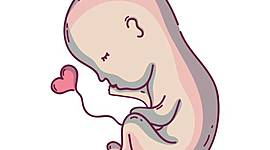 Timeline: Magzati kommunikáció