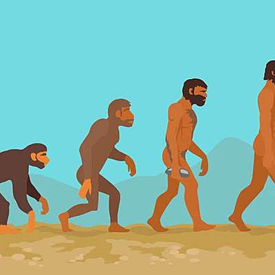 Timeline: Human Evolution