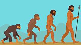 Timeline: Human Evolution