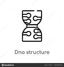 Descubrimiento del A.D.N