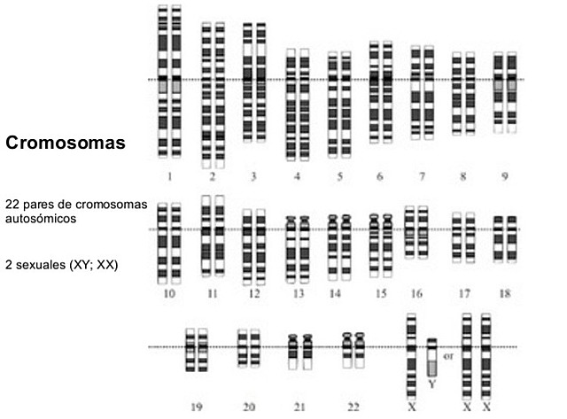 Resultados a la vista!