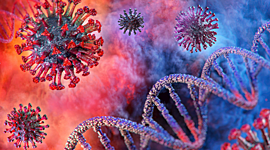 Timeline: The Covid-19 Epidemic Developement Worldwide