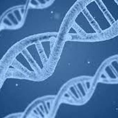 Timeline: Principales acontecimientos en la descodificación del genoma humano