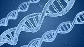 Timeline: Principales acontecimientos en la descodificación del genoma humano