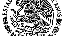 Timeline: JUICIO DE AMPARO