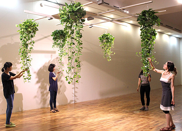 Camille- Incitation imposée-Akousmaflore de Grégory Lasserre & Anaïs met den Ancxt