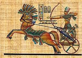 War Chariots
