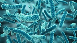 Timeline: Historia de la Microbiología.