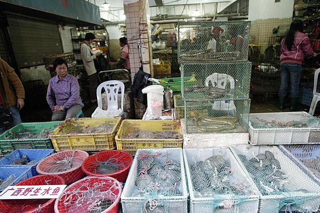 First case of COVID-19