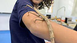 Timeline: Linha do tempo do Ian, Viagens Internacionais