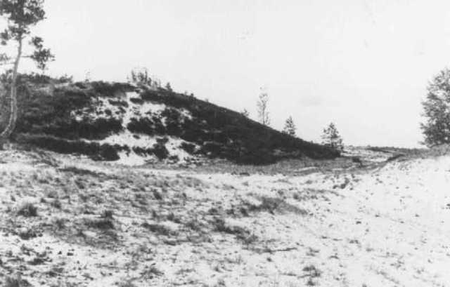 Einsatzgruppen Massacre