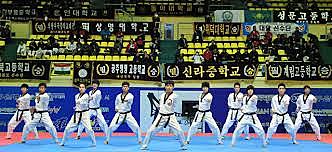 Comenzaron los campeonatos de formas o poomse