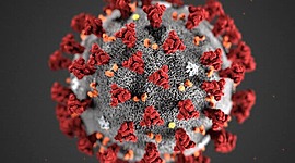 Timeline: Aparición del COVID19 en el mundo (SARS-CoV-2 o Coronavirus), desde su origen a la actualidad.