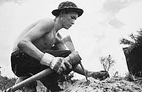 Civilian Conservation Corp (1st New Deal)