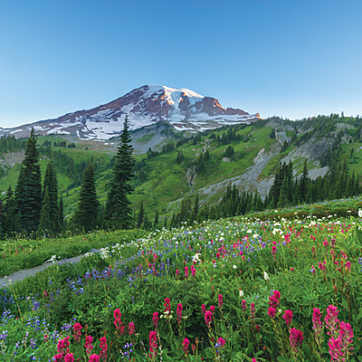 Timeline: A Timeline of Washington State