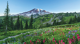 Timeline: A Timeline of Washington State